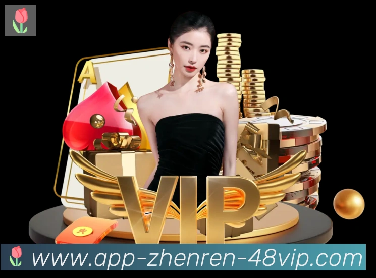 App功能展示图